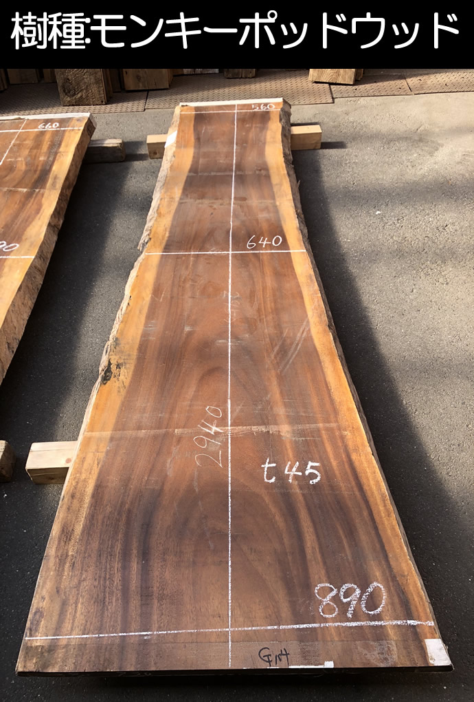 樹齢約800年　杉　2-1.2 板　銘木　看板　レジン　テーブル  パワーウッド