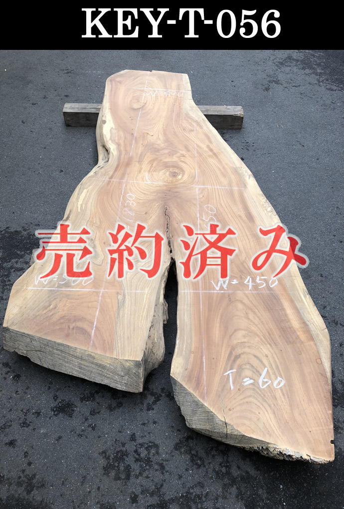 �ꖇ�e�[�u���E���C��
