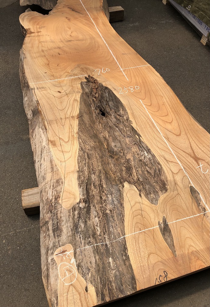 �P���L�E�ꖇ�e�[�u���E�V�i�V�ށj