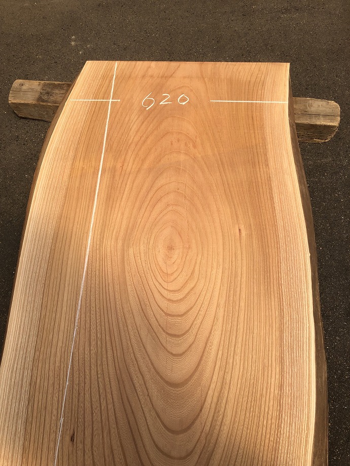 �P���L�E�V�R�؁E���C�ꖇ��