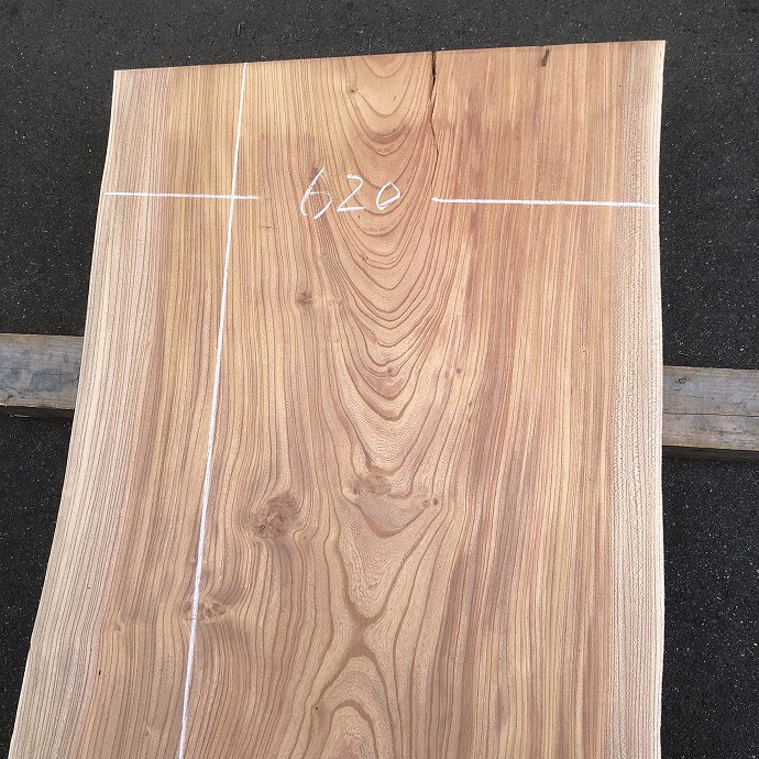 �P���L�E�V�R�؁E���C�ꖇ��