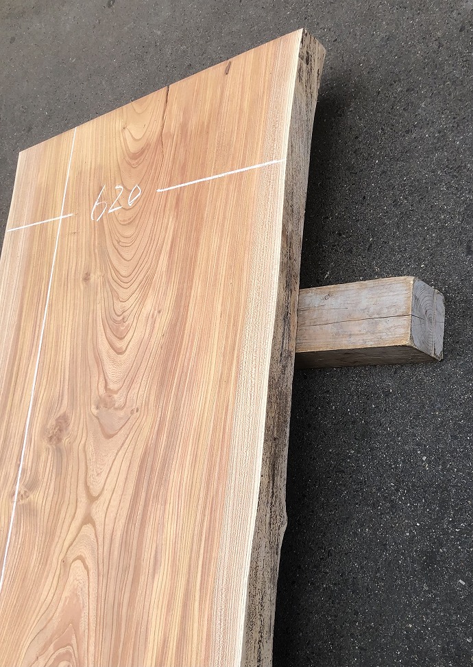 �P���L�E�V�R�؁E���C�ꖇ��