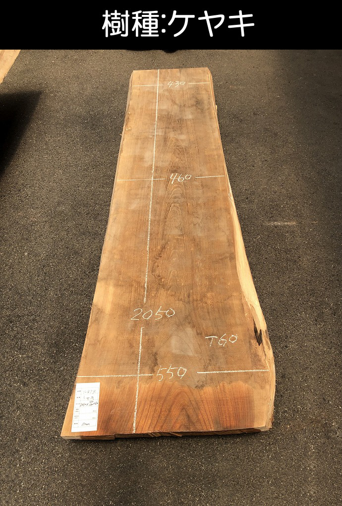 �V�R�؁E���C�ꖇ��