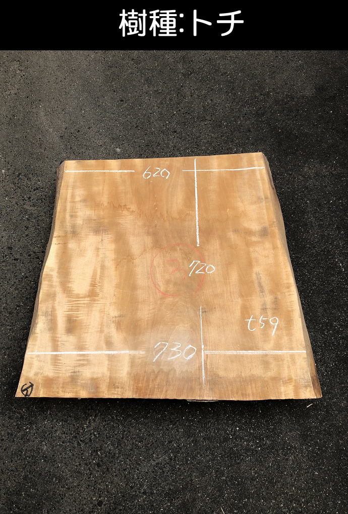 �ꖇ�e�[�u���E���C��