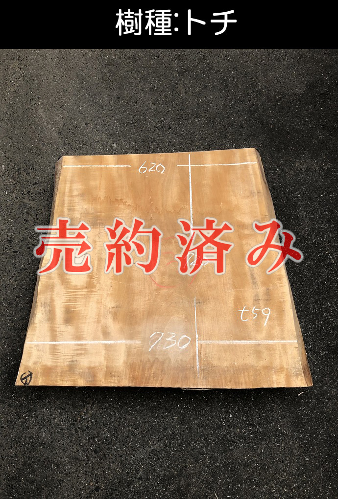 �ꖇ�e�[�u���E���C��