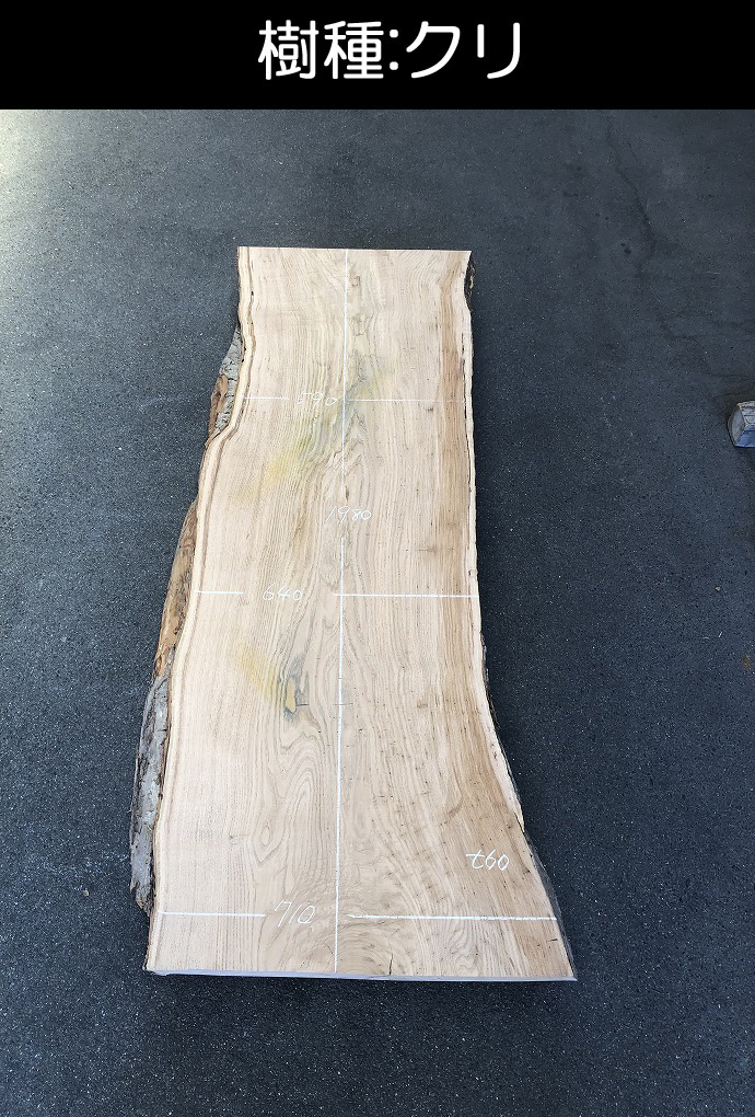 �ꖇ�e�[�u���E���C��