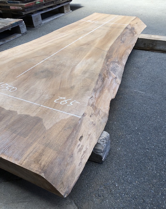 �N�X�E�V�R�؁E���C�ꖇ�i�V�ށj