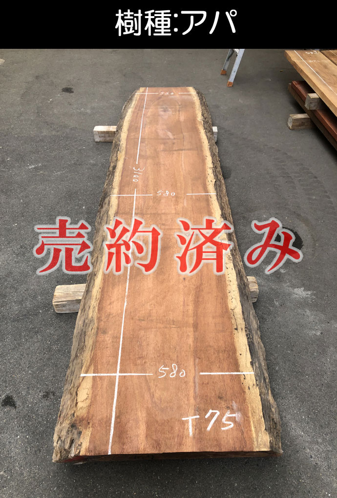 天然木・無垢一枚板