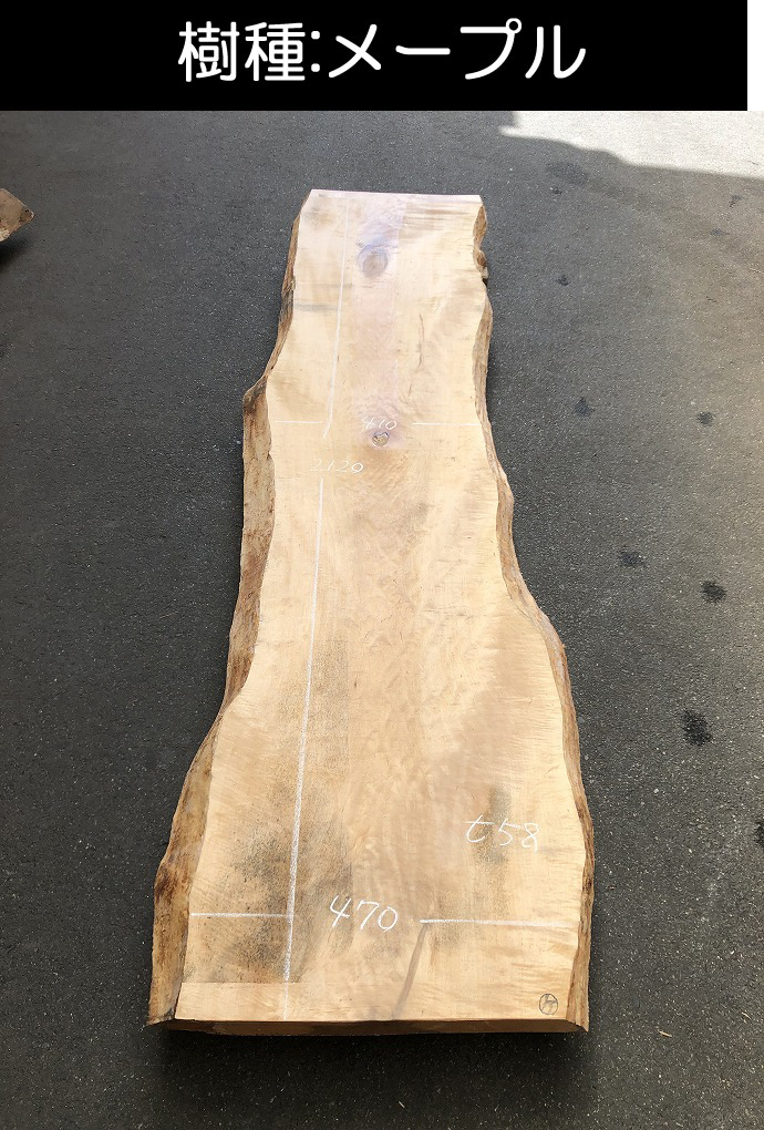 �V�R�؁E���C�ꖇ��