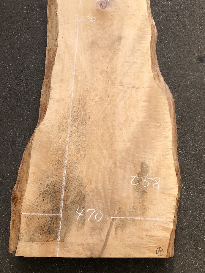 ���̑��i�^���A�^�u�A�X�M�A�L�n�_�A�J�G�fets�j�E�V�R�؁E���C�ꖇ�i�V�ށj