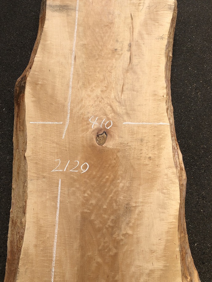 ���̑��i�^���A�^�u�A�X�M�A�L�n�_�A�J�G�fets�j�E�V�R�؁E���C�ꖇ�i�V�ށj