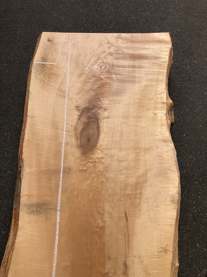 ���̑��i�^���A�^�u�A�X�M�A�L�n�_�A�J�G�fets�j�E�V�R�؁E���C�ꖇ�i�V�ށj