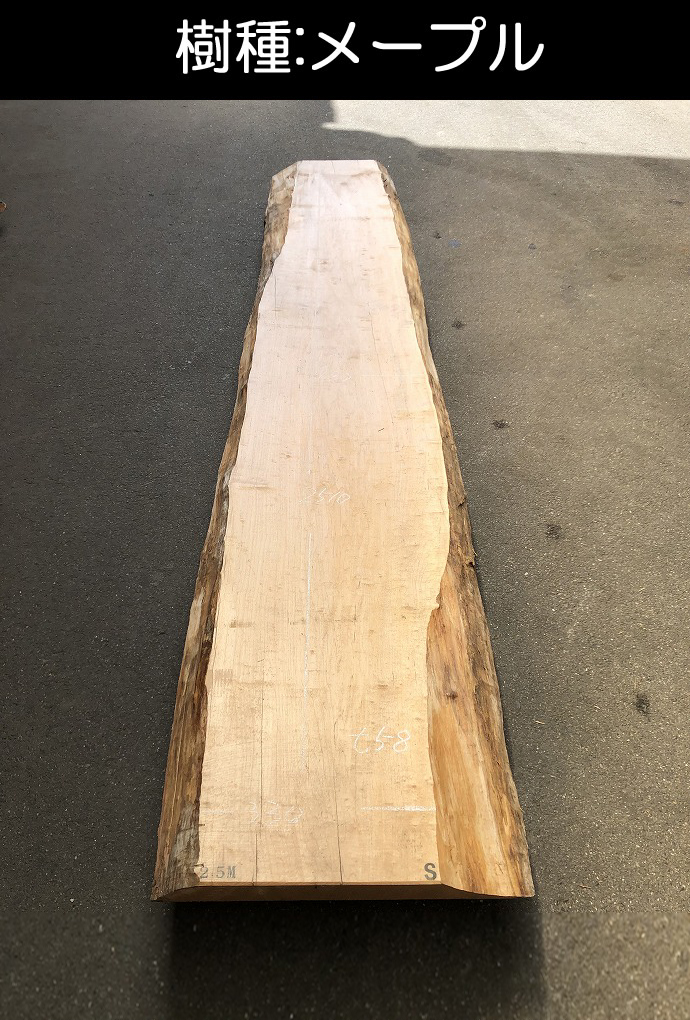 �V�R�؁E���C�ꖇ��