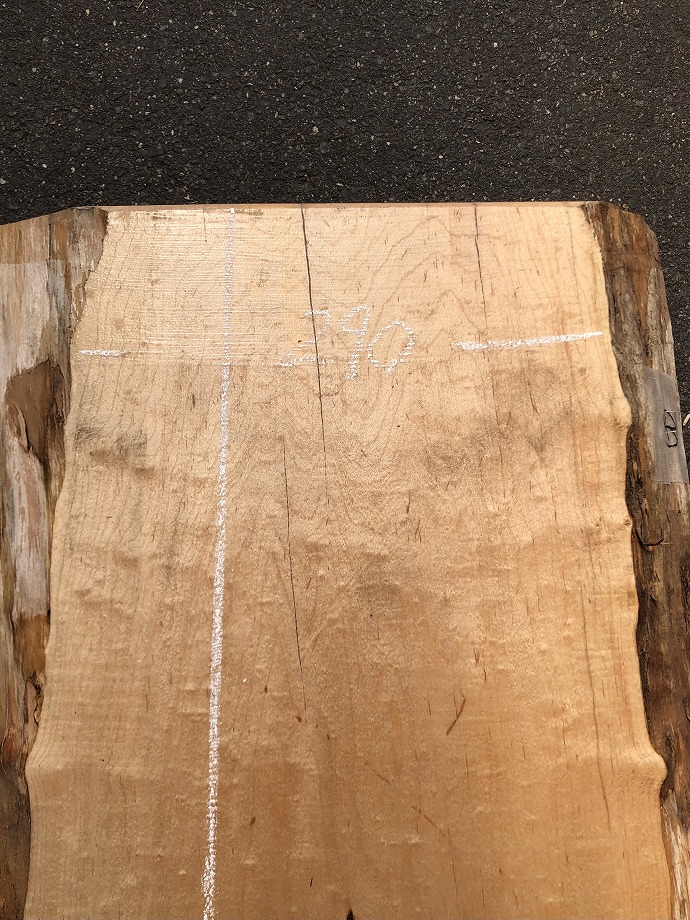 ���̑��i�^���A�^�u�A�X�M�A�L�n�_�A�J�G�fets�j�E�V�R�؁E���C�ꖇ�i�V�ށj