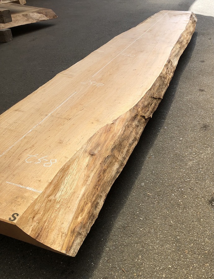 ���̑��i�^���A�^�u�A�X�M�A�L�n�_�A�J�G�fets�j�E�V�R�؁E���C�ꖇ�i�V�ށj