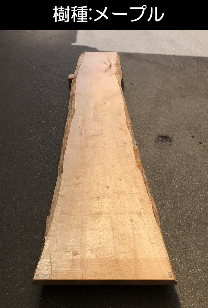 �V�R�؁E���C�ꖇ��