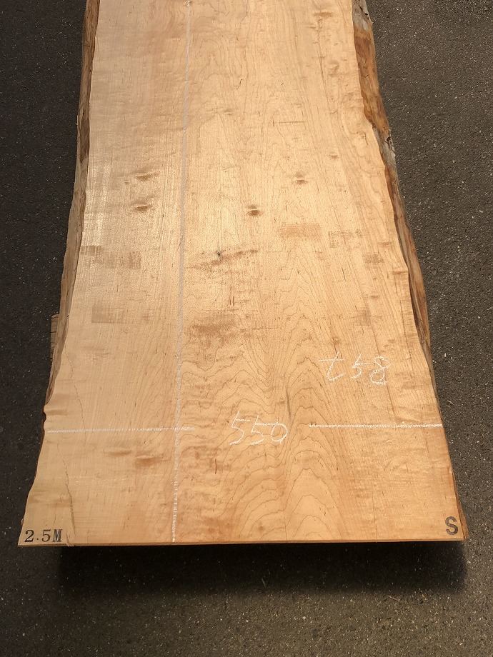 ���̑��i�^���A�^�u�A�X�M�A�L�n�_�A�J�G�fets�j�E�V�R�؁E���C�ꖇ�i�V�ށj