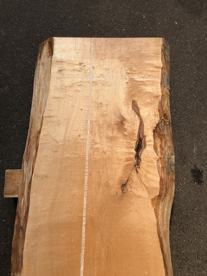 ���̑��i�^���A�^�u�A�X�M�A�L�n�_�A�J�G�fets�j�E�V�R�؁E���C�ꖇ�i�V�ށj