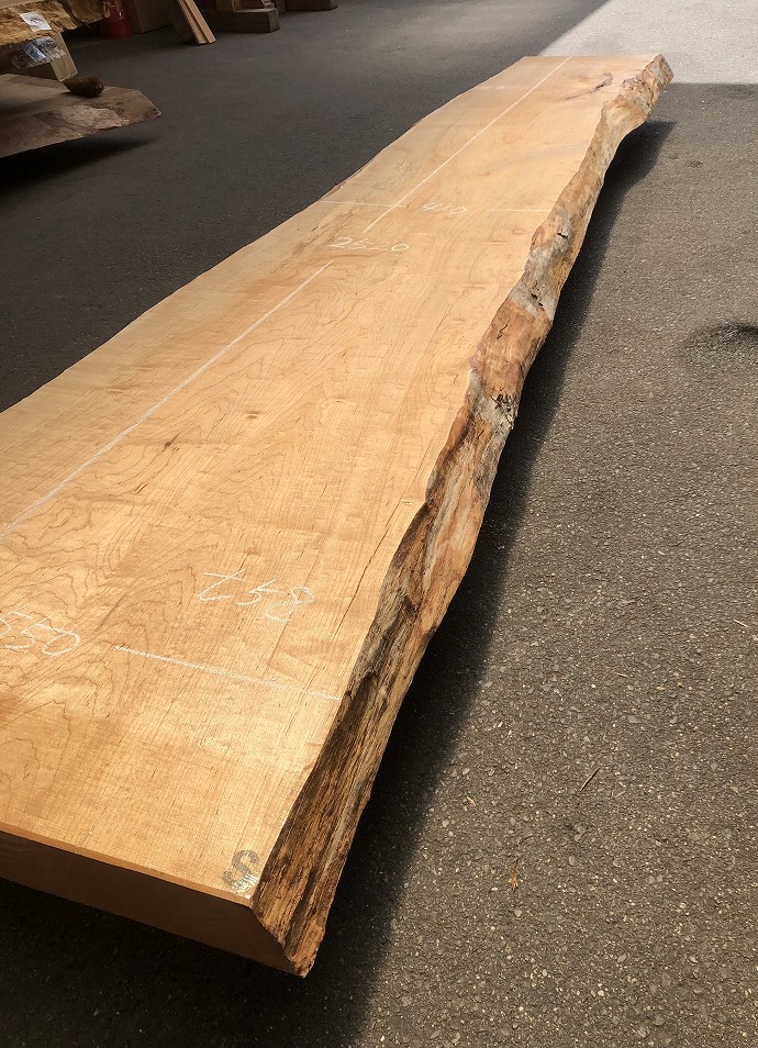 ���̑��i�^���A�^�u�A�X�M�A�L�n�_�A�J�G�fets�j�E�V�R�؁E���C�ꖇ�i�V�ށj