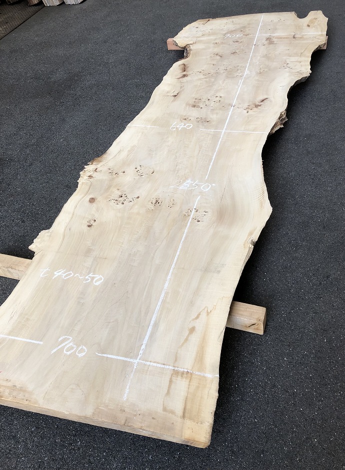 その他(タモ、タブ、スギ、キハダ、カエデets)・天然木・無垢一枚板(新材)