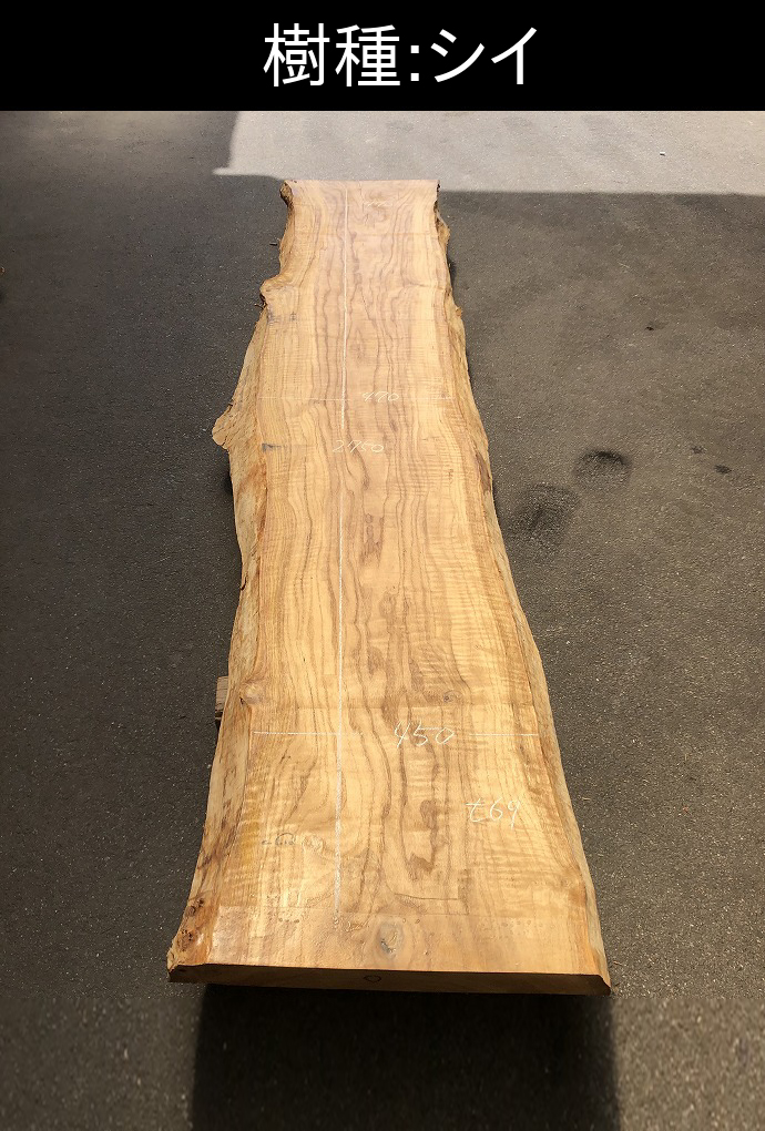 �V�R�؁E���C�ꖇ��