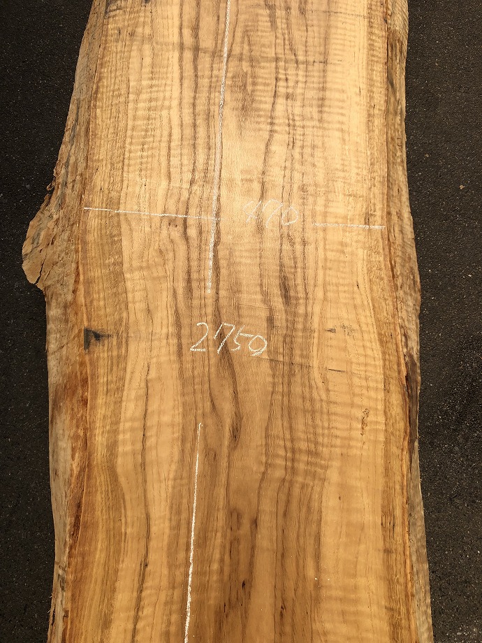 ���̑��i�^���A�^�u�A�X�M�A�L�n�_�A�J�G�fets�j�E�V�R�؁E���C�ꖇ�i�V�ށj