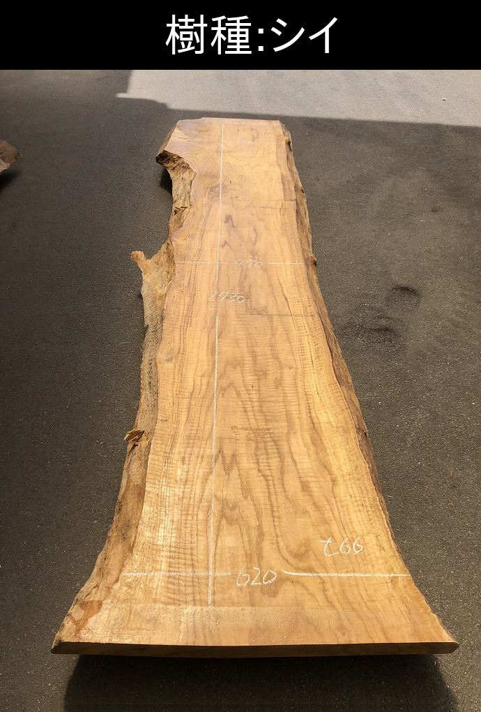 �V�R�؁E���C�ꖇ��