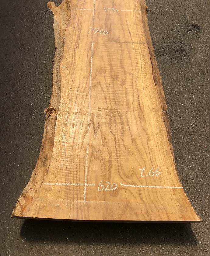 ���̑��i�^���A�^�u�A�X�M�A�L�n�_�A�J�G�fets�j�E�V�R�؁E���C�ꖇ�i�V�ށj