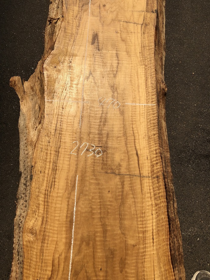 ���̑��i�^���A�^�u�A�X�M�A�L�n�_�A�J�G�fets�j�E�V�R�؁E���C�ꖇ�i�V�ށj