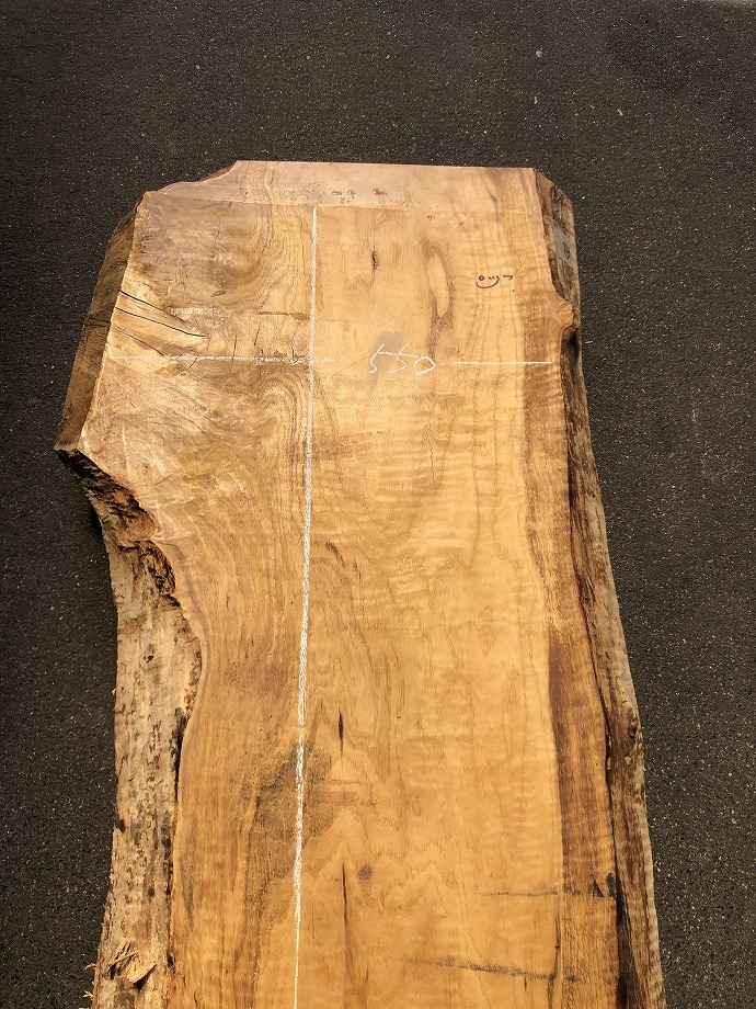 ���̑��i�^���A�^�u�A�X�M�A�L�n�_�A�J�G�fets�j�E�V�R�؁E���C�ꖇ�i�V�ށj