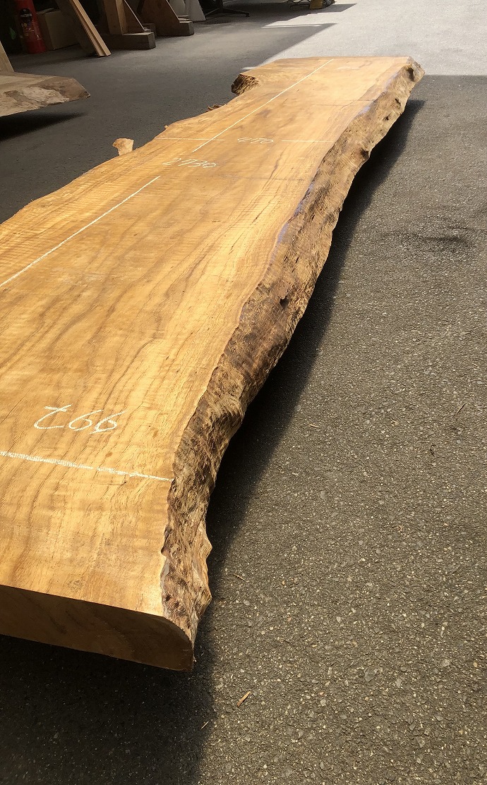 ���̑��i�^���A�^�u�A�X�M�A�L�n�_�A�J�G�fets�j�E�V�R�؁E���C�ꖇ�i�V�ށj