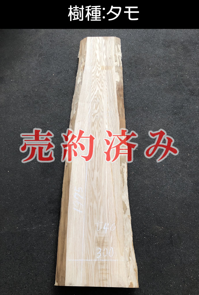�ꖇ�e�[�u���E���C��